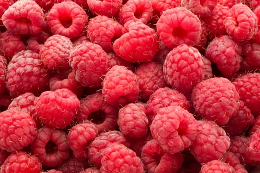 Many fresh red raspberries making beautiful background