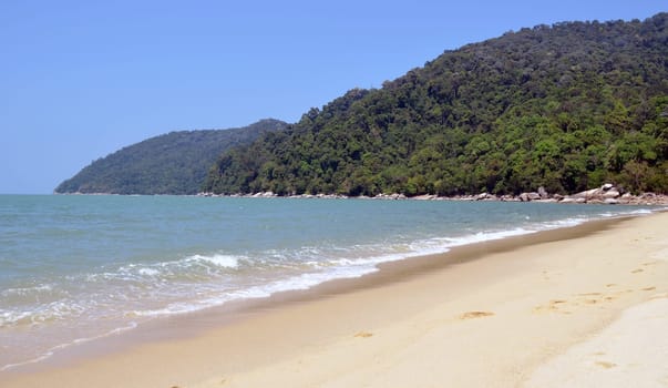 View of National Park in Malaysia