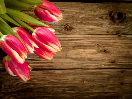 Old weathered wood background with fresh red tulip decoration of a bunch of flowers in the corner with copyspace