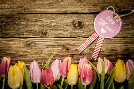 Mothers Day, or Baby Shower, greeting with a border of fresh colourful tulips arranged in a line on a texture of rustic wooden planks with copyspace