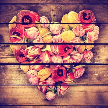 Artistic aged vintage heart formed of fresh colourful spring tulips on rustic wooden boards for a unique gift for a sweetheart on Valentines day or an anniversary