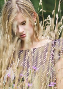 In the meadow