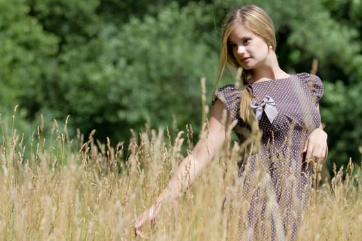 In the meadow