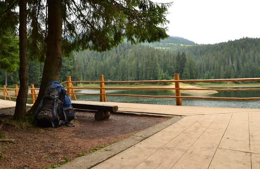 two backpacks near the firs behind the fence on the lake