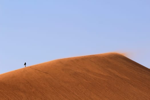Sossusvlei sand dunes landscape in the Nanib desert near Sesriem, Namibia