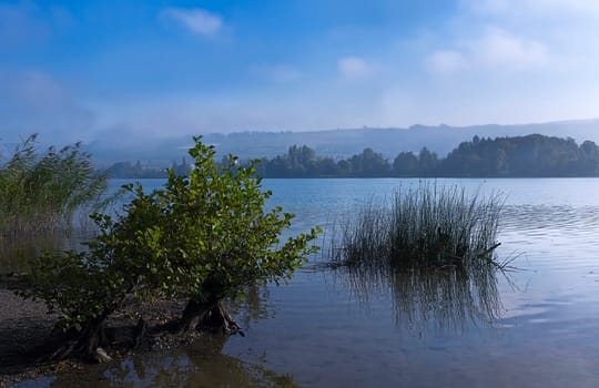 Lake Hallwil in the morning light