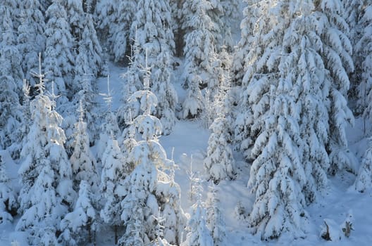Winter at the Ochsenkopf