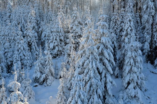 Winter at the Ochsenkopf