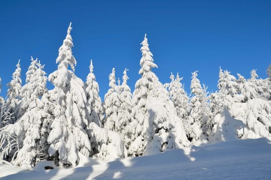 Winter at the Ochsenkopf
