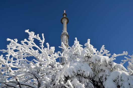Winter at the Ochsenkopf