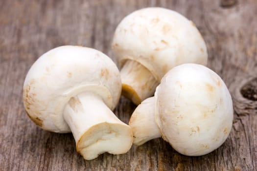 Three fresh champignon on the wooden background