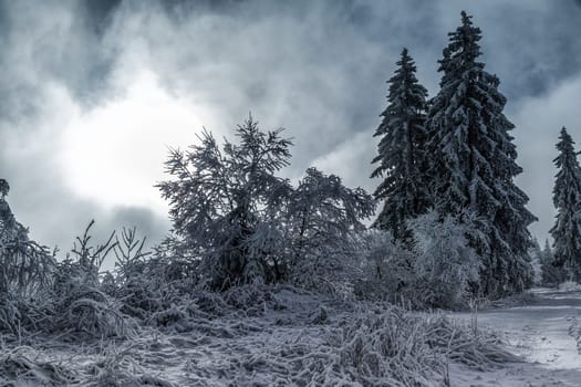 Rennsteig in winter