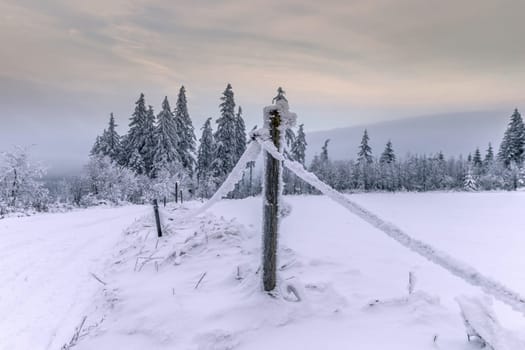 Rennsteig in winter