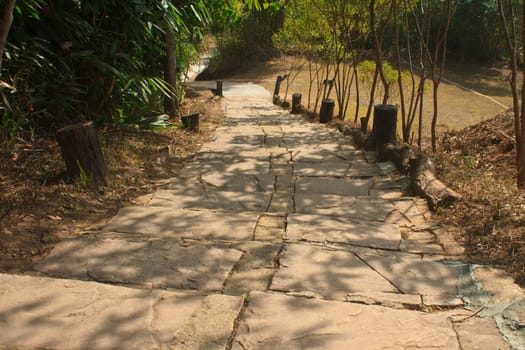 Stairway to jungle, in national park, Thailand