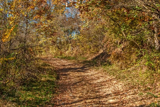 Rural road in the mountain in autumn