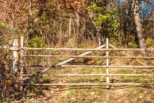 Wooden gate against cattle on rural road