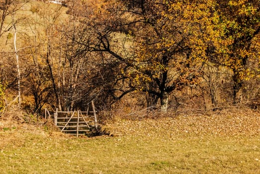 Wooden fence on a mountain farm in autumn day