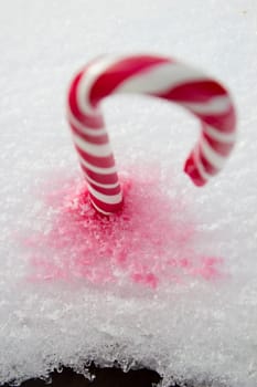 Sweet red and white candy cane lying in the snow.