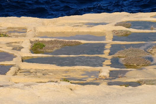 Salt production