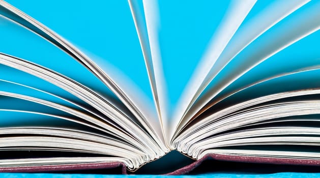 Close up on open book pages