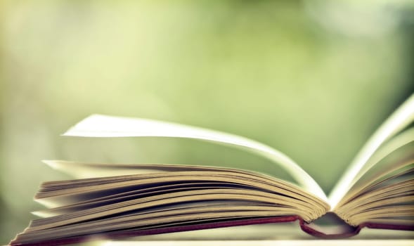 Close up on open book pages