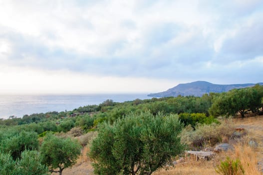 Wide view of a Cretan landscape, island of Crete,  Greece
