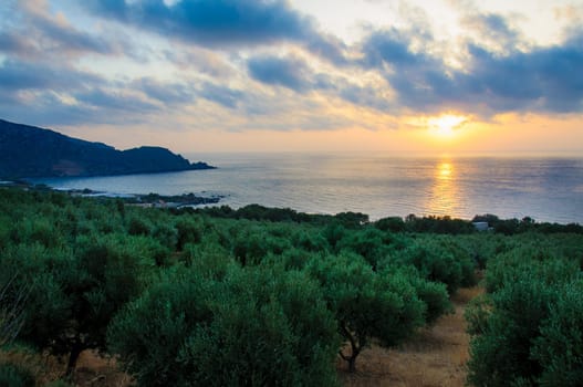 Wide view of a Cretan landscape, island of Crete,  Greece