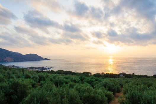 Wide view of a Cretan landscape, island of Crete,  Greece