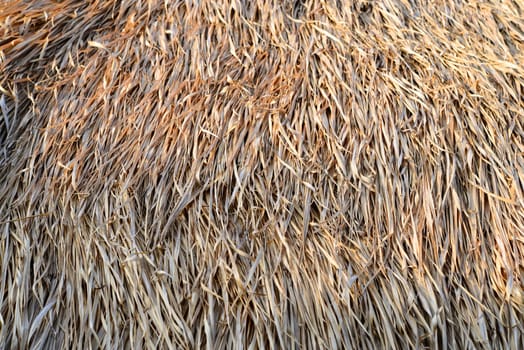 straw roof