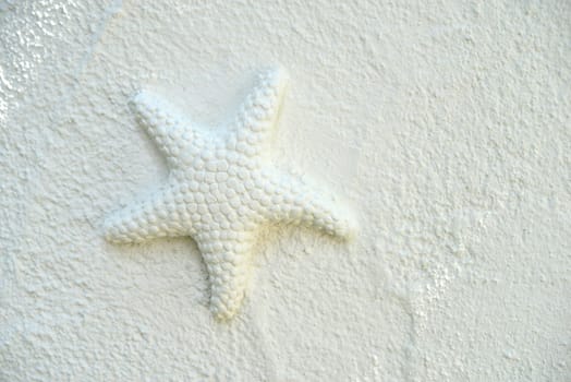 white starfish on the white wall