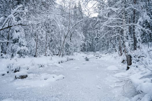 Beauty winter landscape with fair trees and river under the snow.