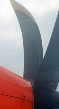 High in the clouds