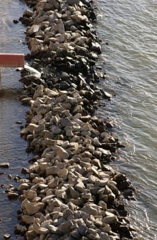 The photograph of an industrial drain into the river Rhine.