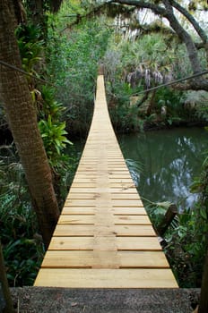 Looking across a river and along the length of a wooden and steel suspension bridge in a tropical forest.