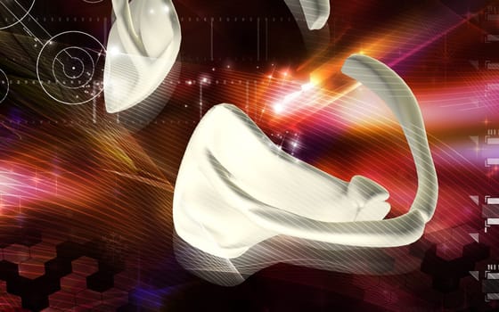 Digital illustration of collar bone in colour background