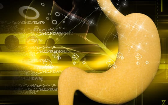 Digital illustration of stomach in colour background