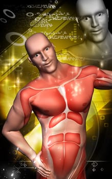 Digital illustration of human body in colour background