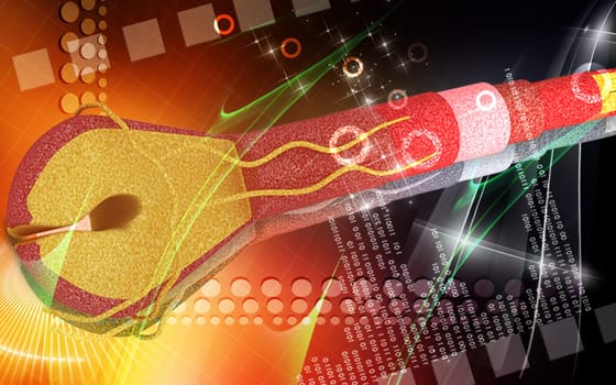 Digital illustration of Human hair structure anatomy in colour background