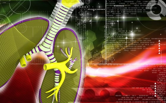 Digital illustration of human lungs in colour background
