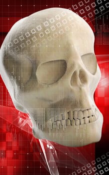 Digital illustration of Human skull in colour background