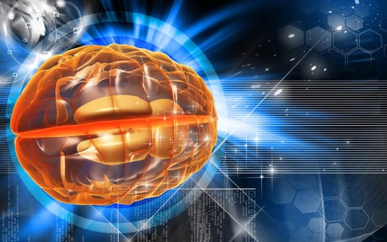 Digital illustration of brain in colour background