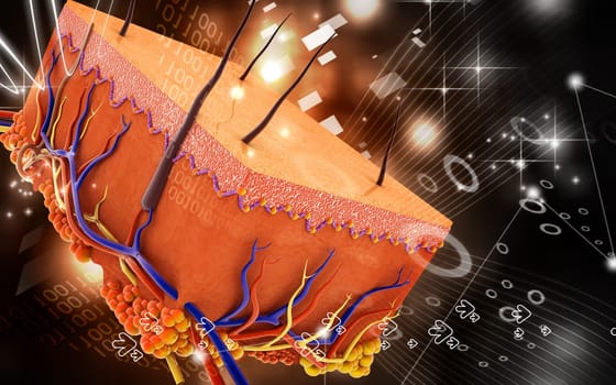 Digital illustration of Skin in colour background