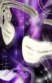 Digital illustration of collar bone in colour background