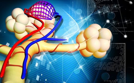 Digital illustration of alveoli in colour background
