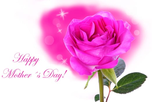 Rosa Rose with Happy Mothers Day Writing