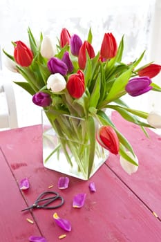 Colorful tulips in an angular glass vase
