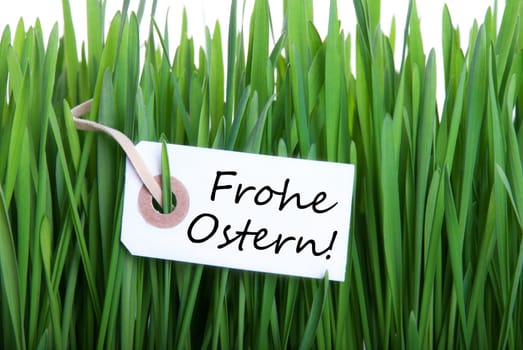 A Label with the german Words Frohe Ostern which means Happy Easter in Grass as Background