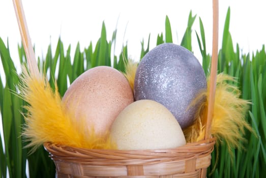 Nest with Easter Eggs and Feathers in front of green Grass