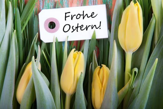 Label with the German Words Frohe Ostern which means Happy Easter and Tulips as Easter background