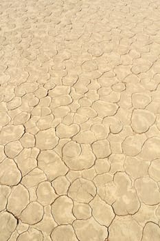 Soil detail of a dry pan, in the Sossusvlei sand dunes, Namib desert. Namibia